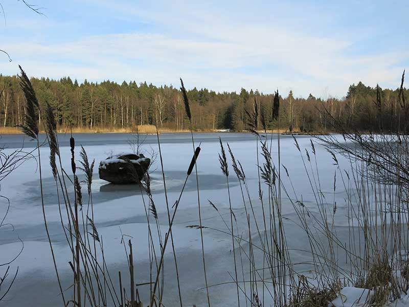 Waldviertel